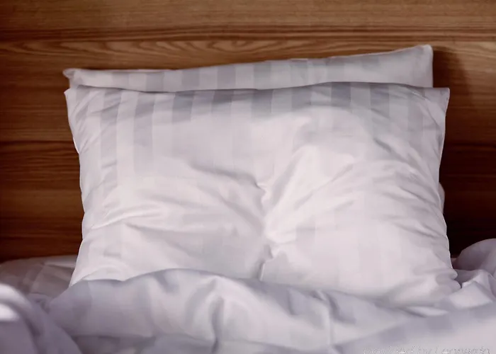 Dyreparken Safarihotell Kristiansand