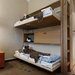 Dyreparken Safarihotell Hotell